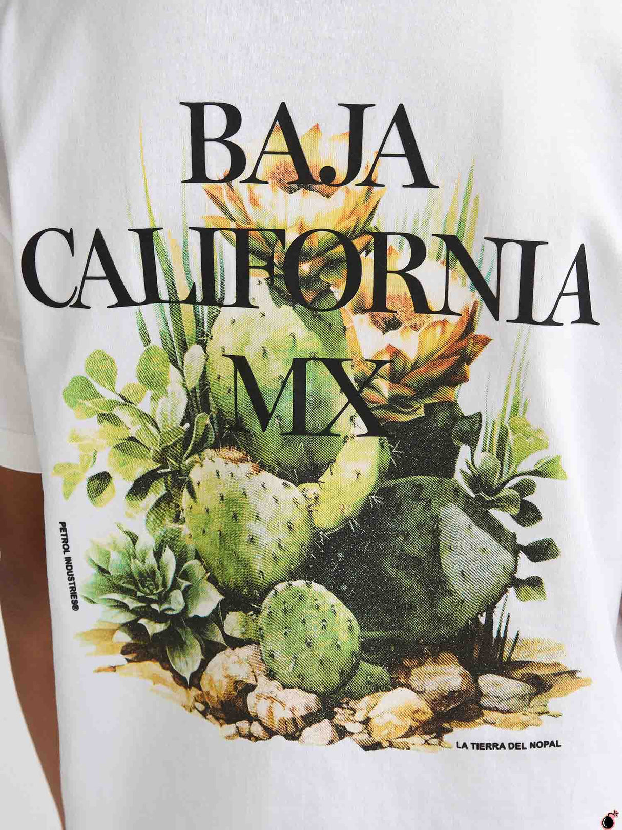 T shirt Everett Blanc