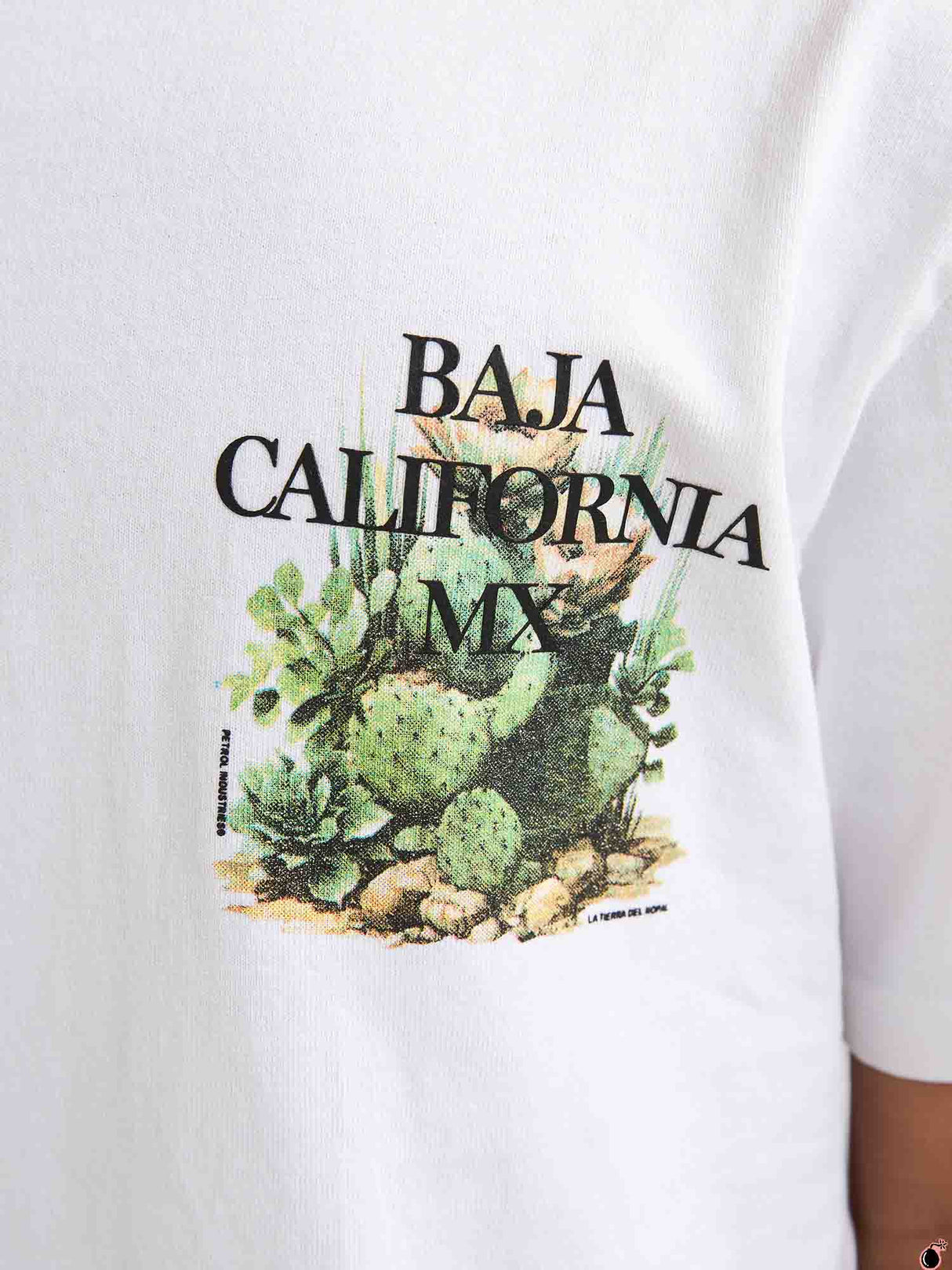 T shirt Everett Blanc