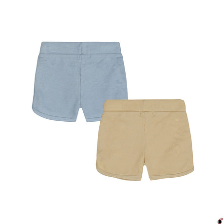 Short Eric Multicolore