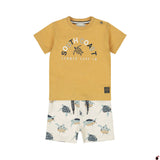 Ensemble Kasper Camel