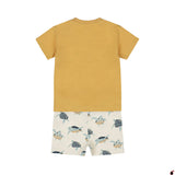 Ensemble Kasper Camel