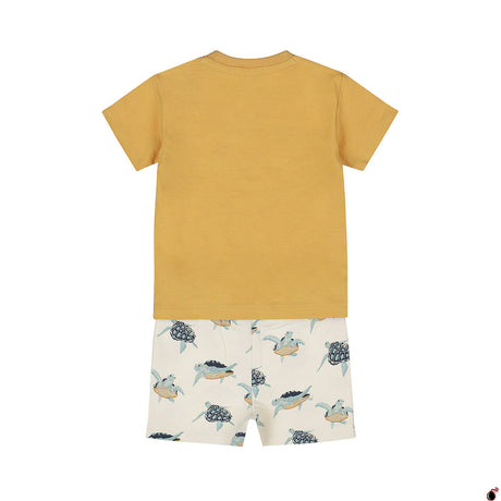 Ensemble Kasper Camel