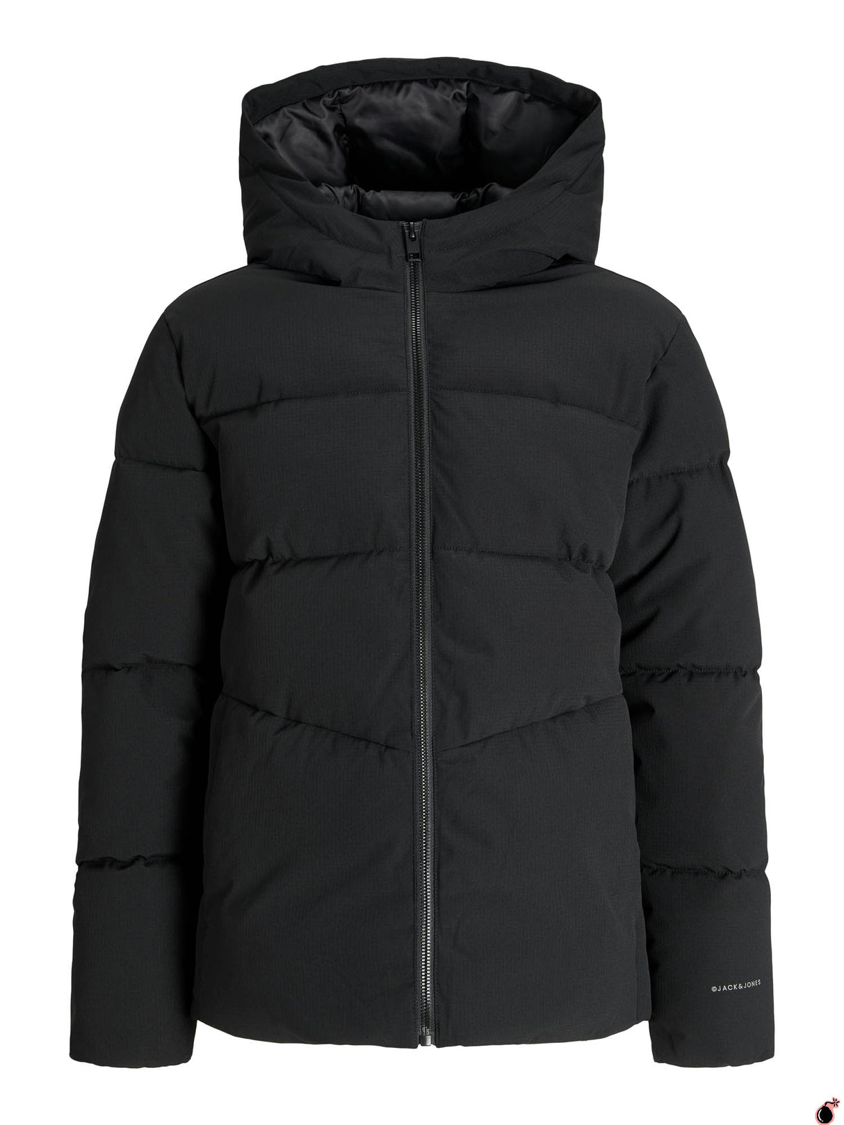 Veste LOBAL Noir