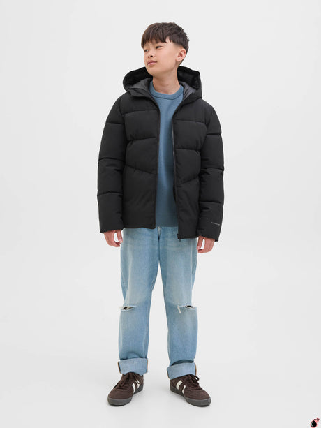 Veste LOBAL Noir