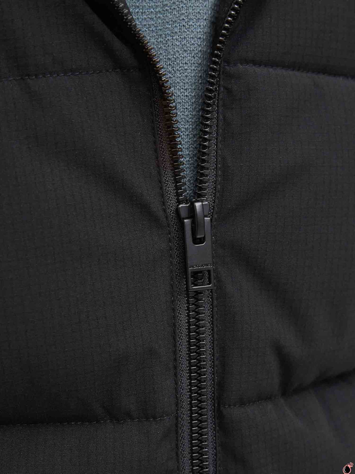 Veste LOBAL Noir