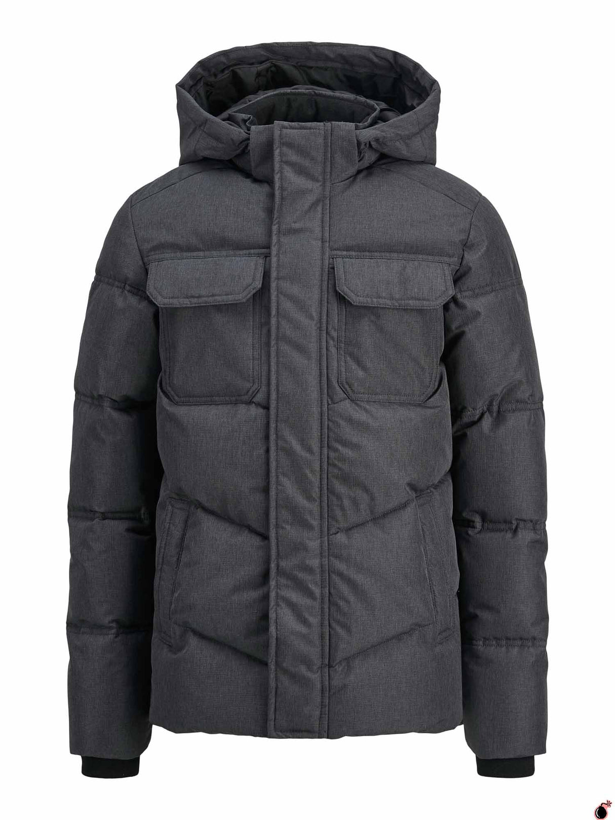 Veste ORGAN Gris