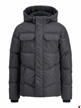 Veste ORGAN Gris