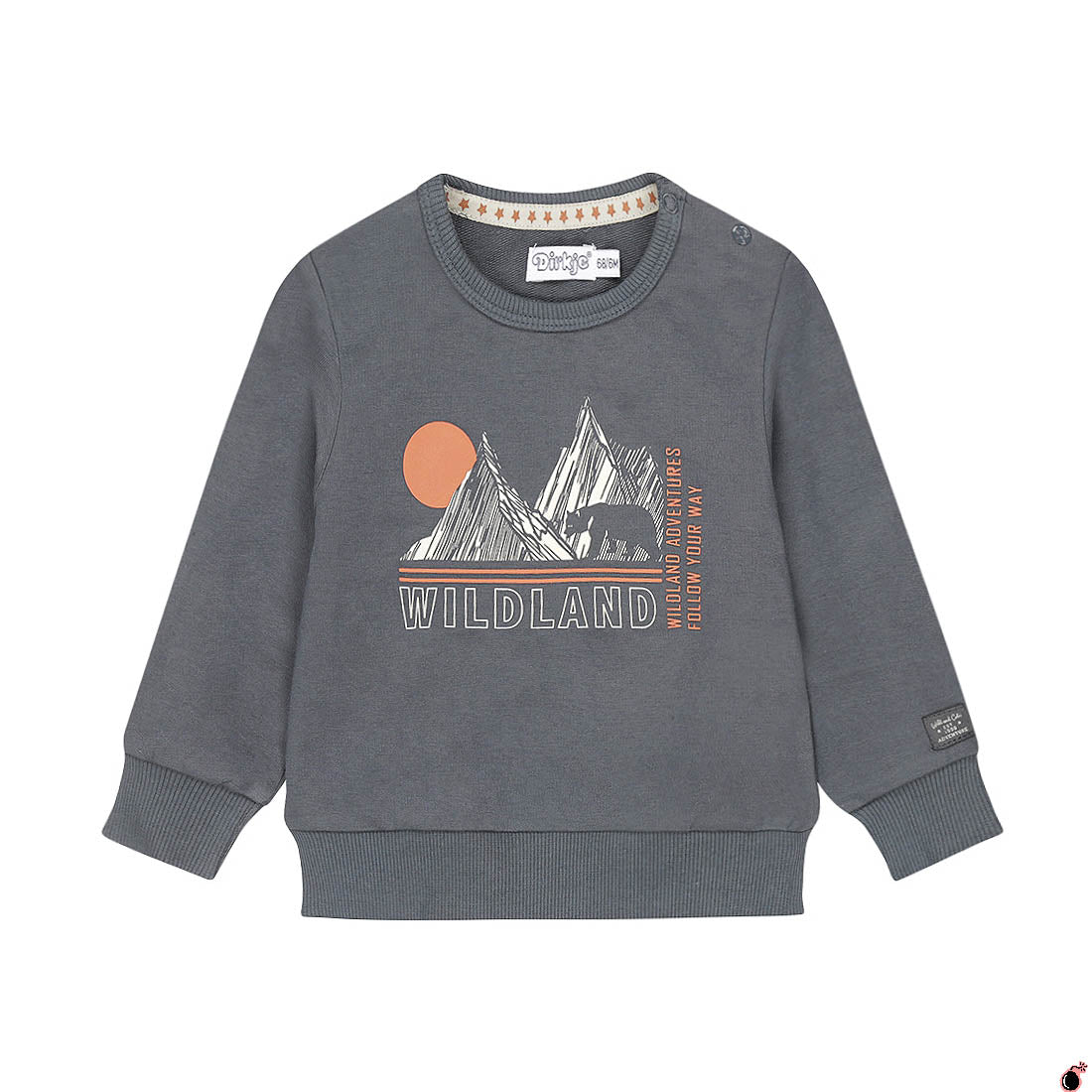 Sweat Thijs Bleu