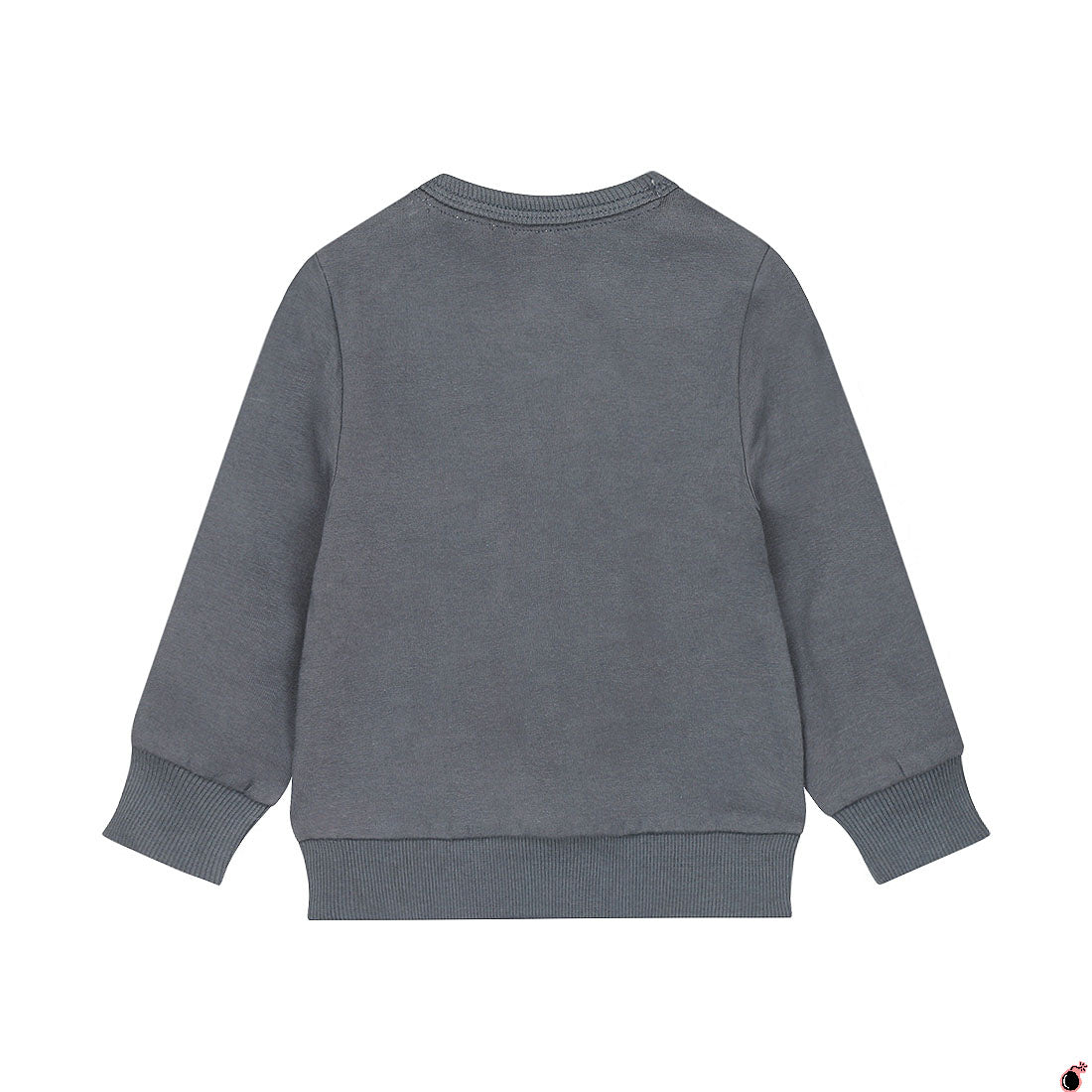 Sweat Thijs Bleu