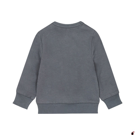 Sweat Thijs Bleu