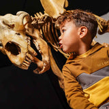 Sweat Floris Jaune