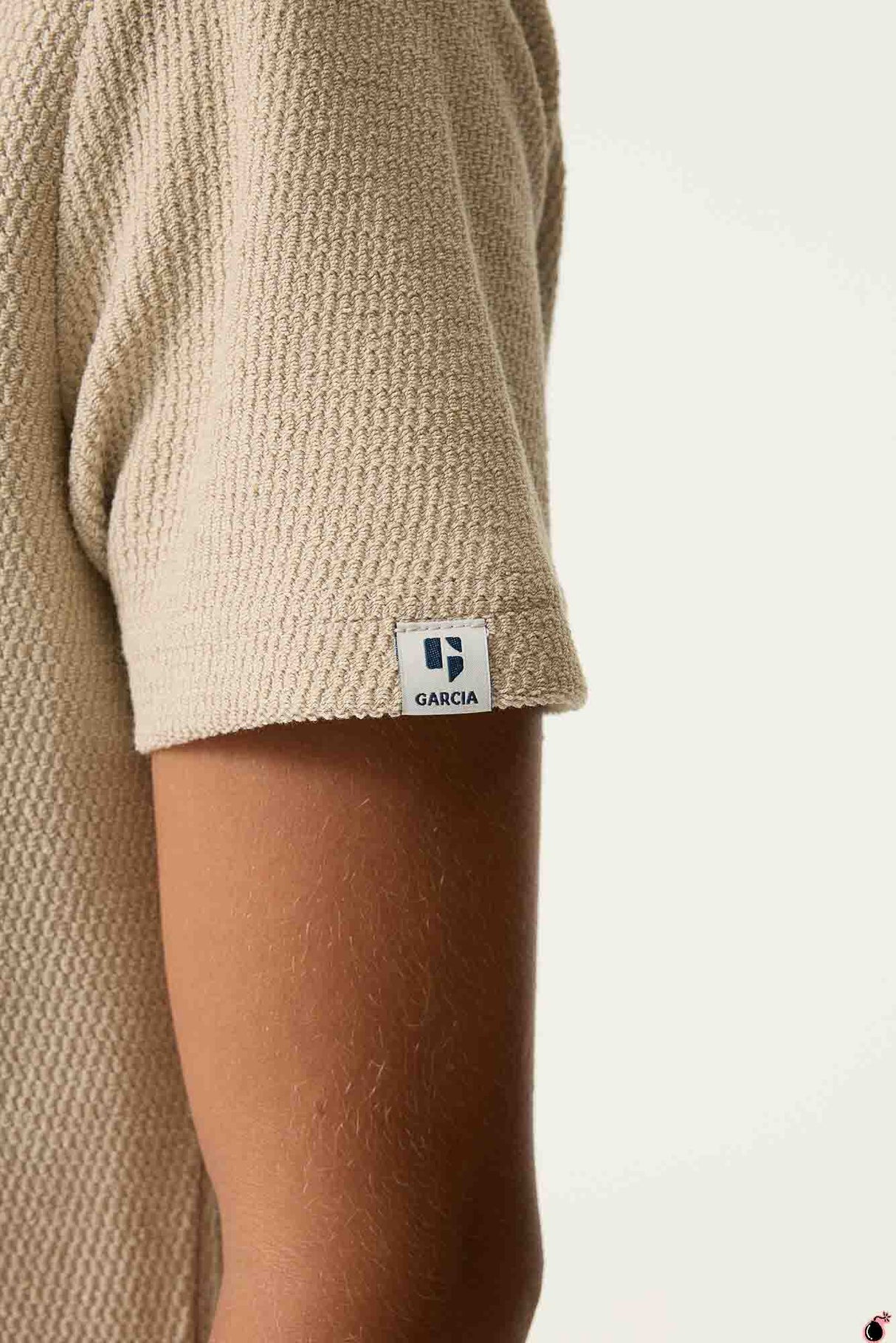 T shirt Tommaso Marron