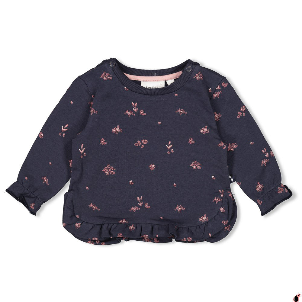 Sweat Swanlake Bleu