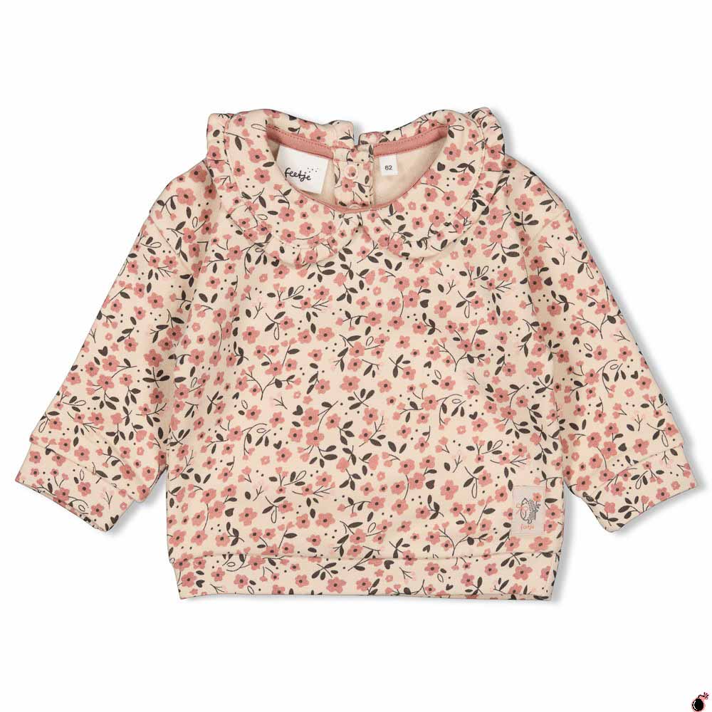 Sweat Woodland Blanc