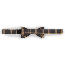 Noeud Papillon Zeb Gris Foncé