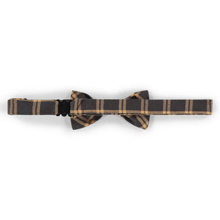 Noeud Papillon Zeb Gris Foncé