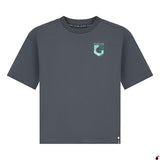 T shirt Tanzi Gris