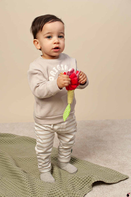 Pantalon Noah Multicolore