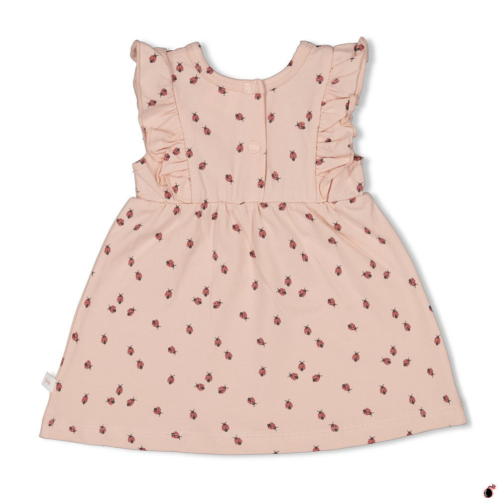 Robe Ladybug Rose