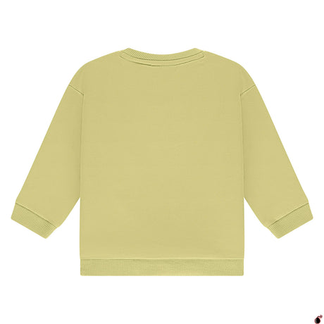 Sweat Noam Citron