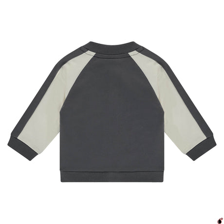 Gilet Pieter-Jan Antra