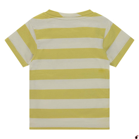 T shirt Gustav Citron