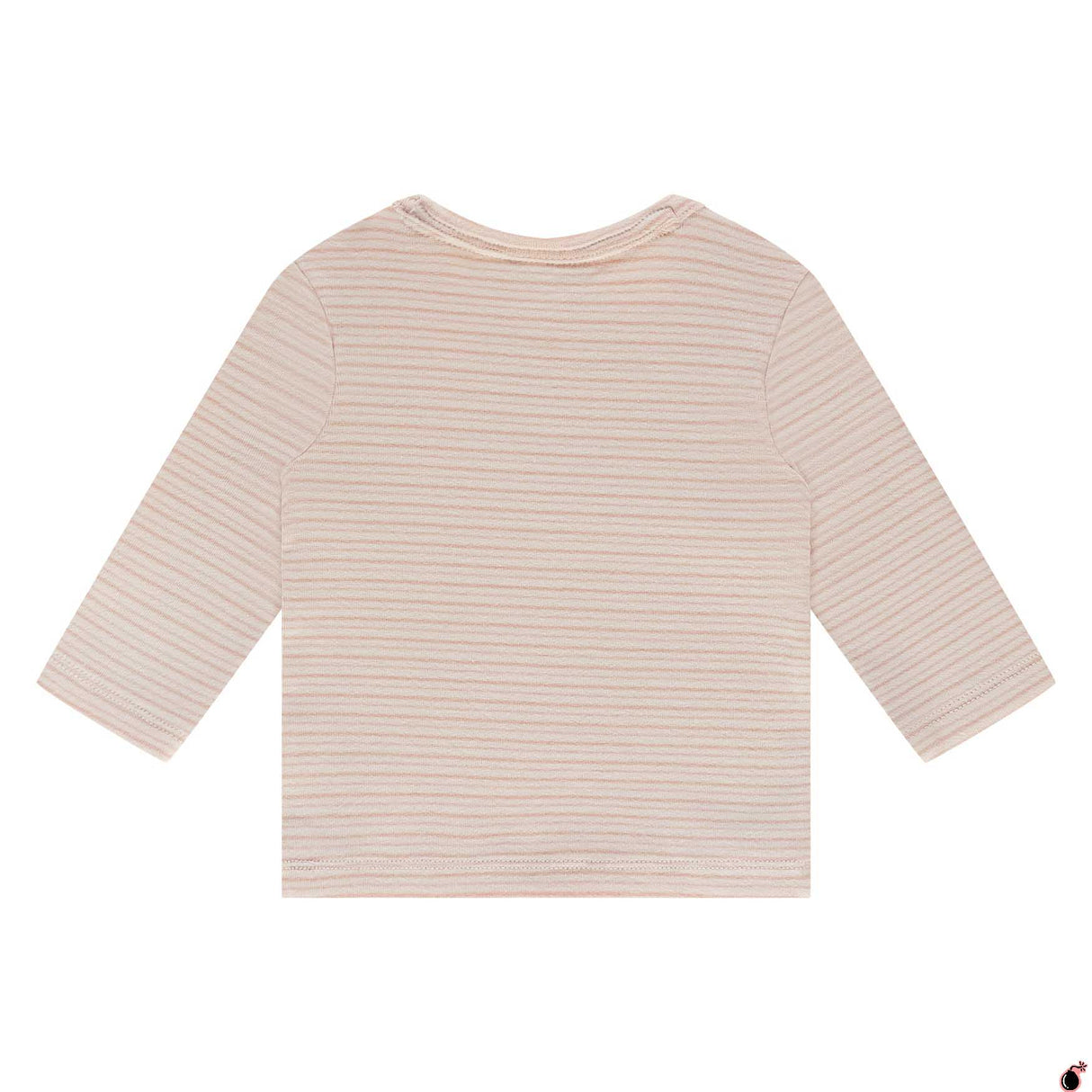 T shirt Taylor Rose