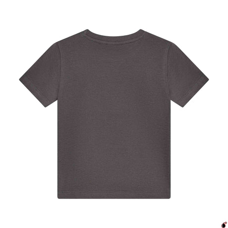 T shirt Aksel Gris