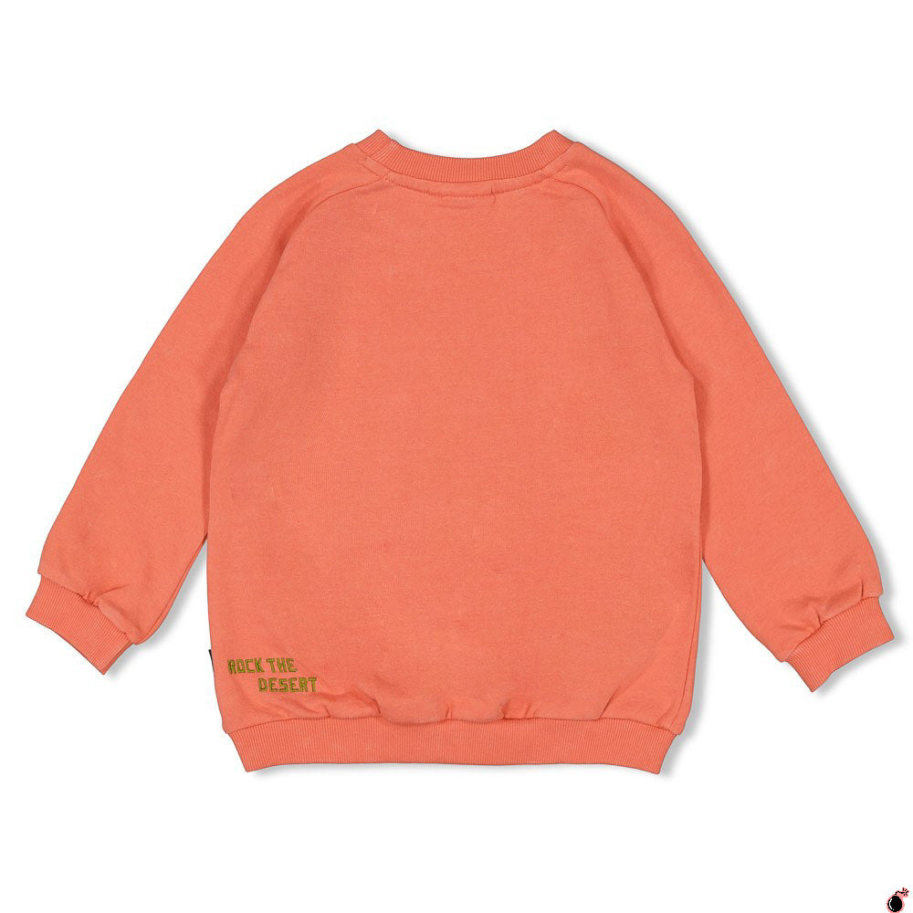 Sweat Desert Corail
