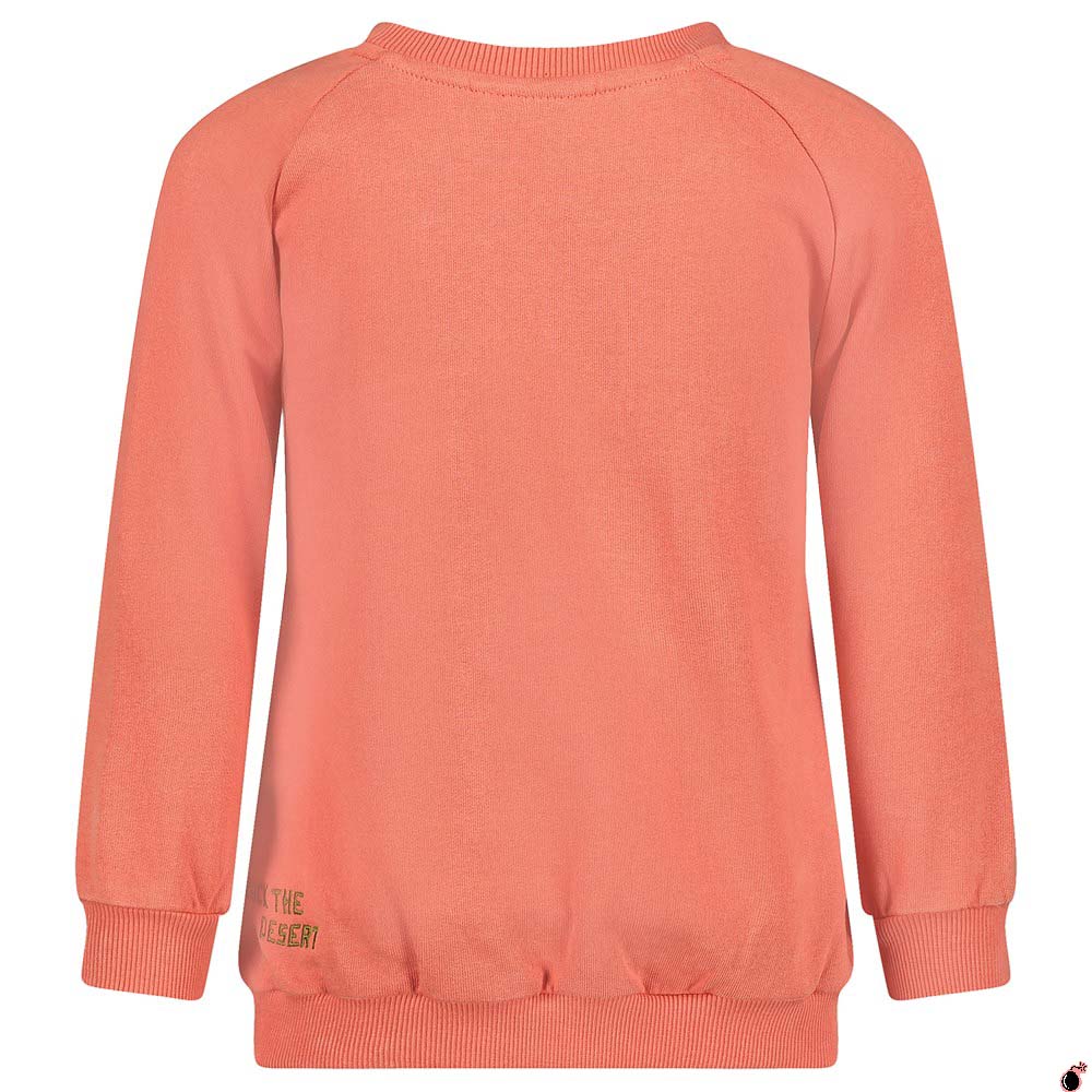 Sweat Desert Corail
