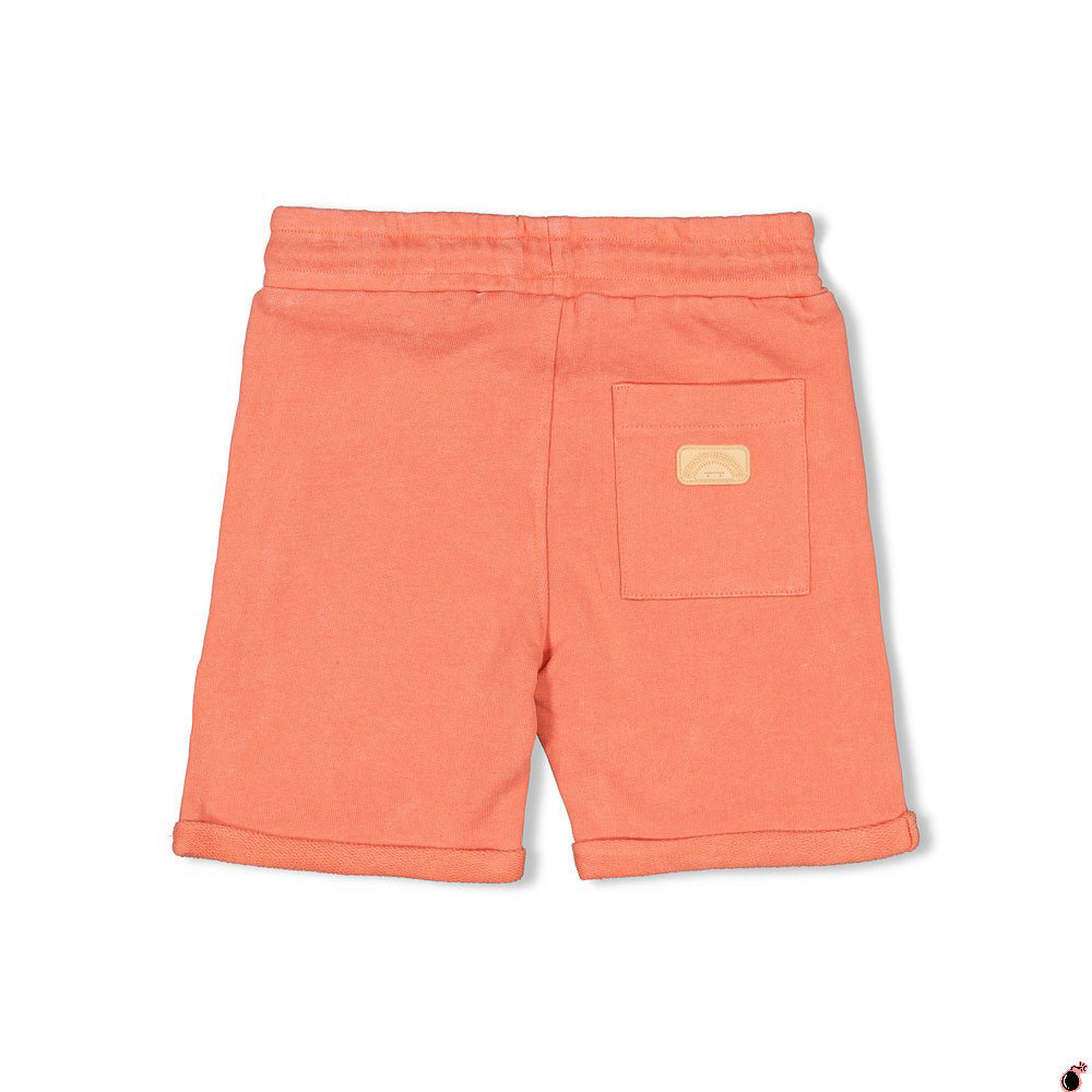 Short Desert Corail