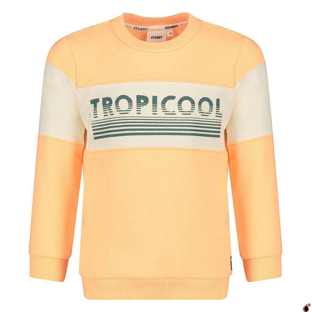 Sweat Lagoon Orange